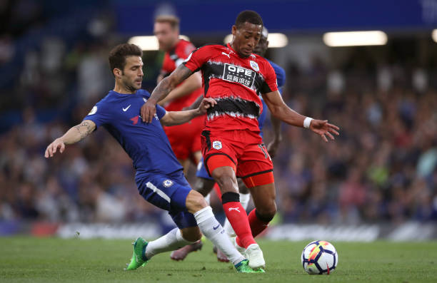 弗拉霍维奇 弗拉霍维奇